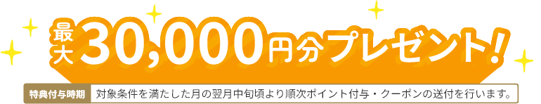 最大30,000円分プレゼント