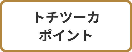 トチツーカポイント