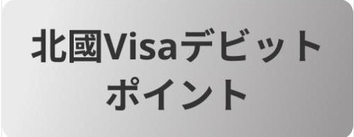 Visaデビットカードポイント