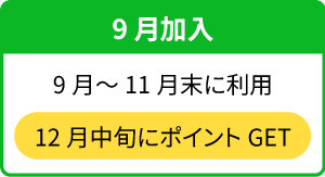 【9月加入】9月~11月末に利用→12月中旬にポイントGET