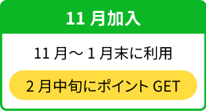 【11月加入】11月~1月末に利用→2月中旬にポイントGET